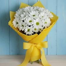 Букет цветов из:  Хризантемы в Устюжне