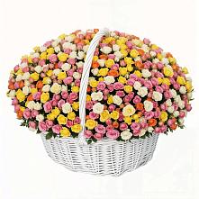 Премиум букет из: Розы в Устюжне