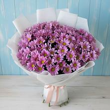 Букет цветов из:  Хризантемы в Устюжне
