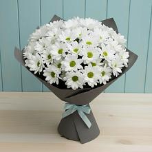 Букет цветов из:  Хризантемы в Устюжне