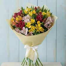 Букет цветов из:  Альстромерии #REPLACE_PRED# Устюжне