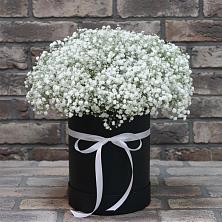 Цветочная композиция из Гипсофила в шляпной коробке в Устюжне